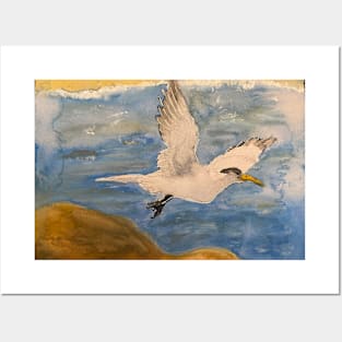 Tern Takeoff Posters and Art